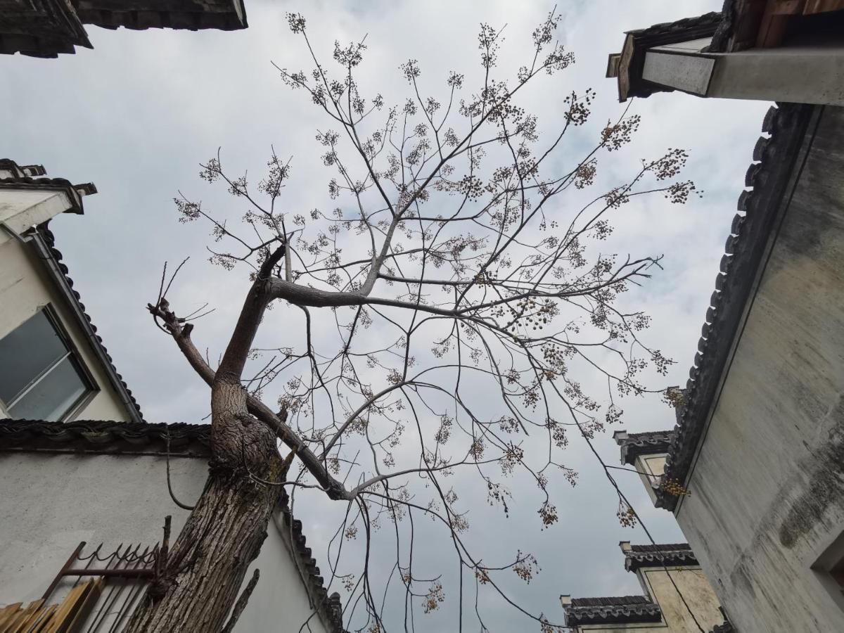Xidi Kunlun International Hostel Yi (Anhui) 외부 사진